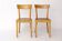 Pair of 1950s Frankfurt Dining Chairs, Germany – Refurbished Beechwood