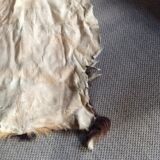 Goat skin