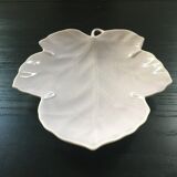 Plane tree leaf tidy