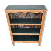 Renovated green cedar wood bookshelf