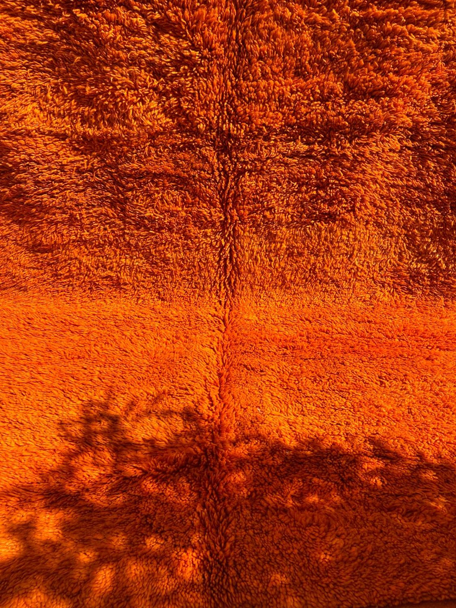 Orange Grove Rug 200x300cm
