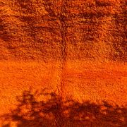 Orange Grove Rug 200x300cm