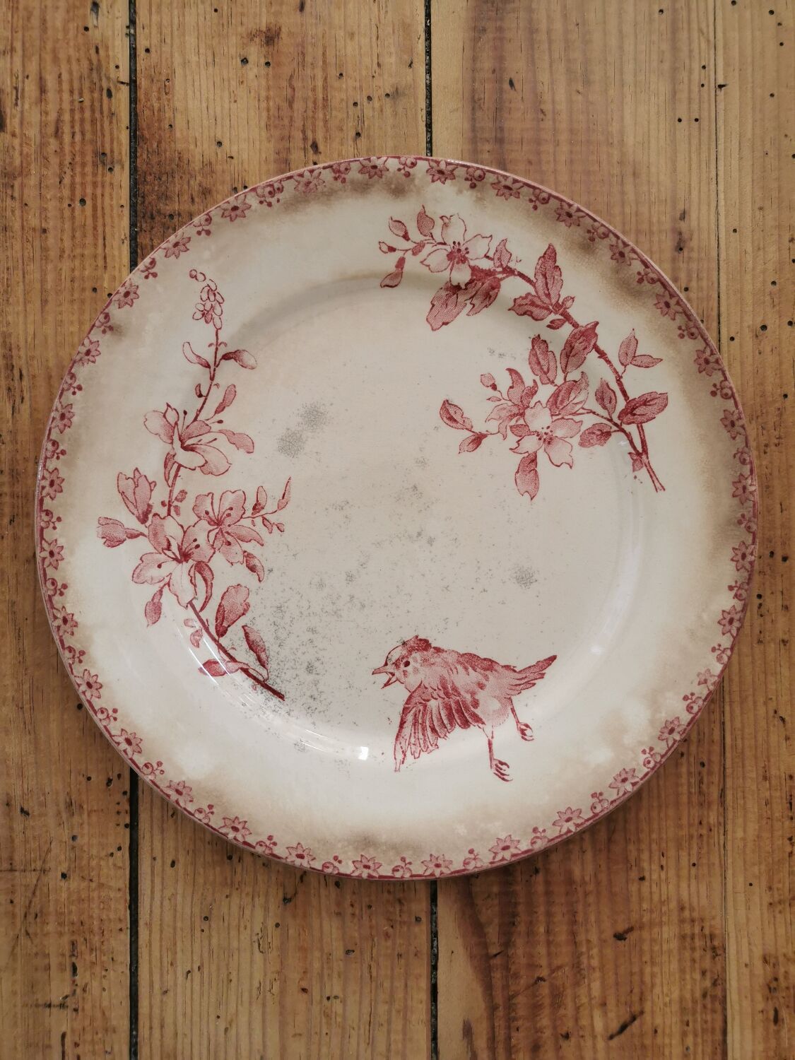 Assiettes anciennes Sarreguemines "Favori"