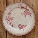 Assiettes anciennes Sarreguemines "Favori"