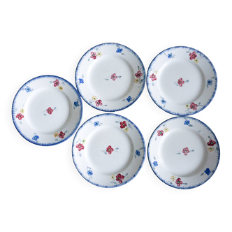 Set of 5 Digoin Sarreguemines dessert plates