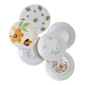 Assiettes plates porcelaine