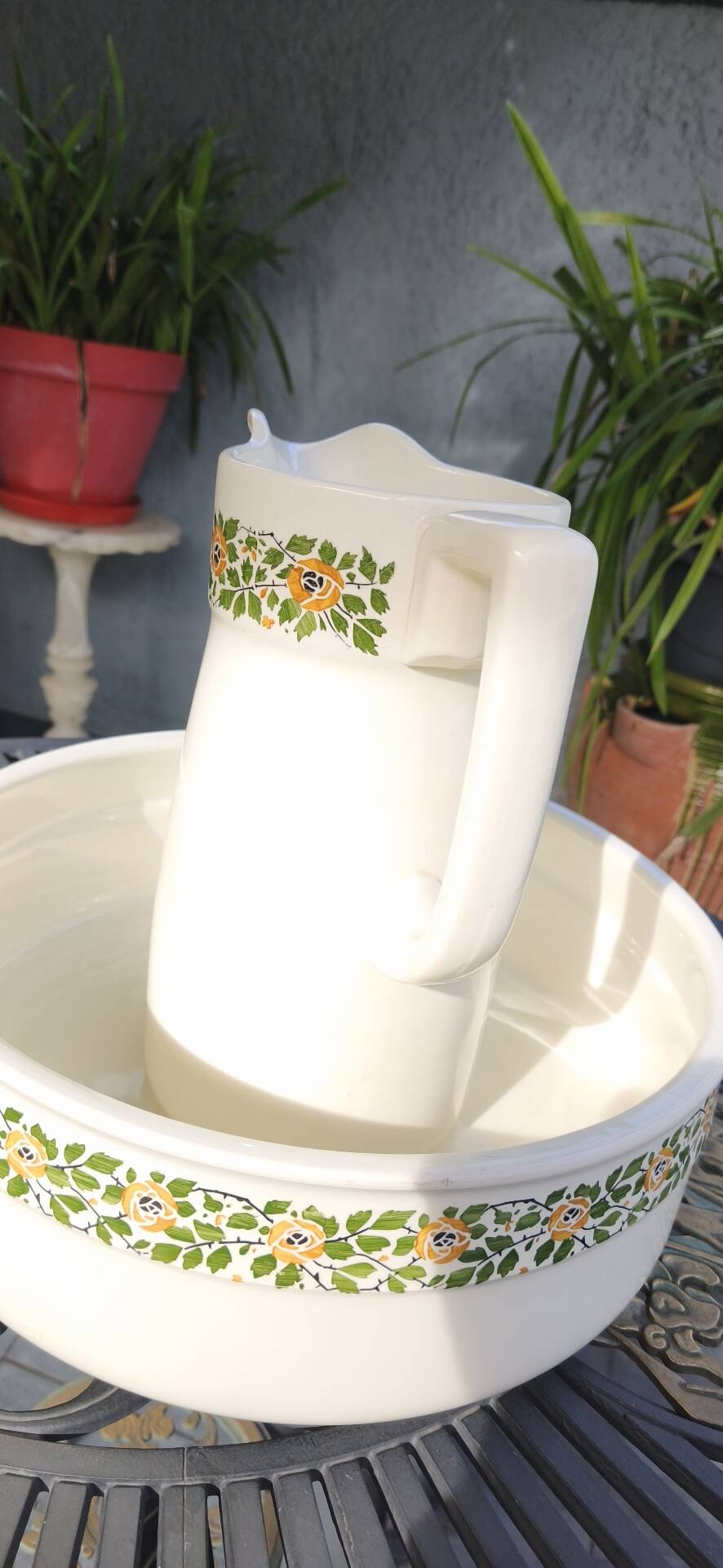 Vintage toilet set in Villeroy & Boch earthenware (1920-1931)