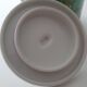 Cafeteria Villeroy & Boch