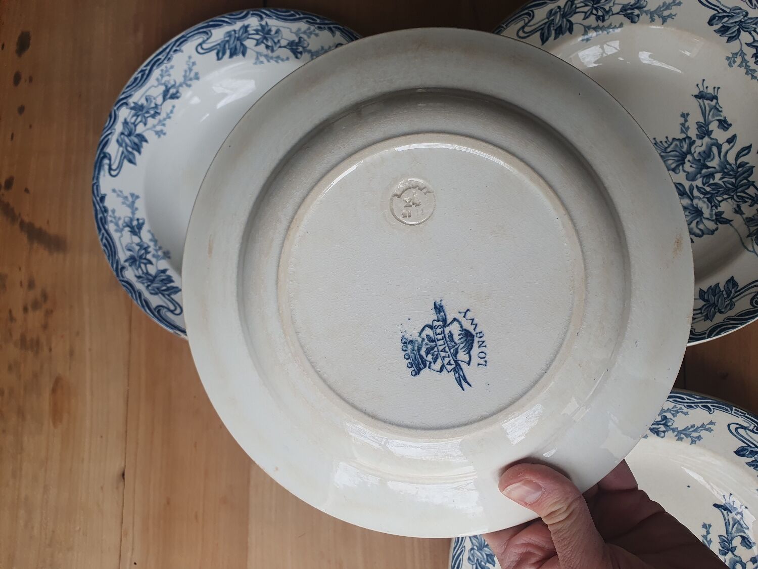 Hollow plates Longwy Azaleas