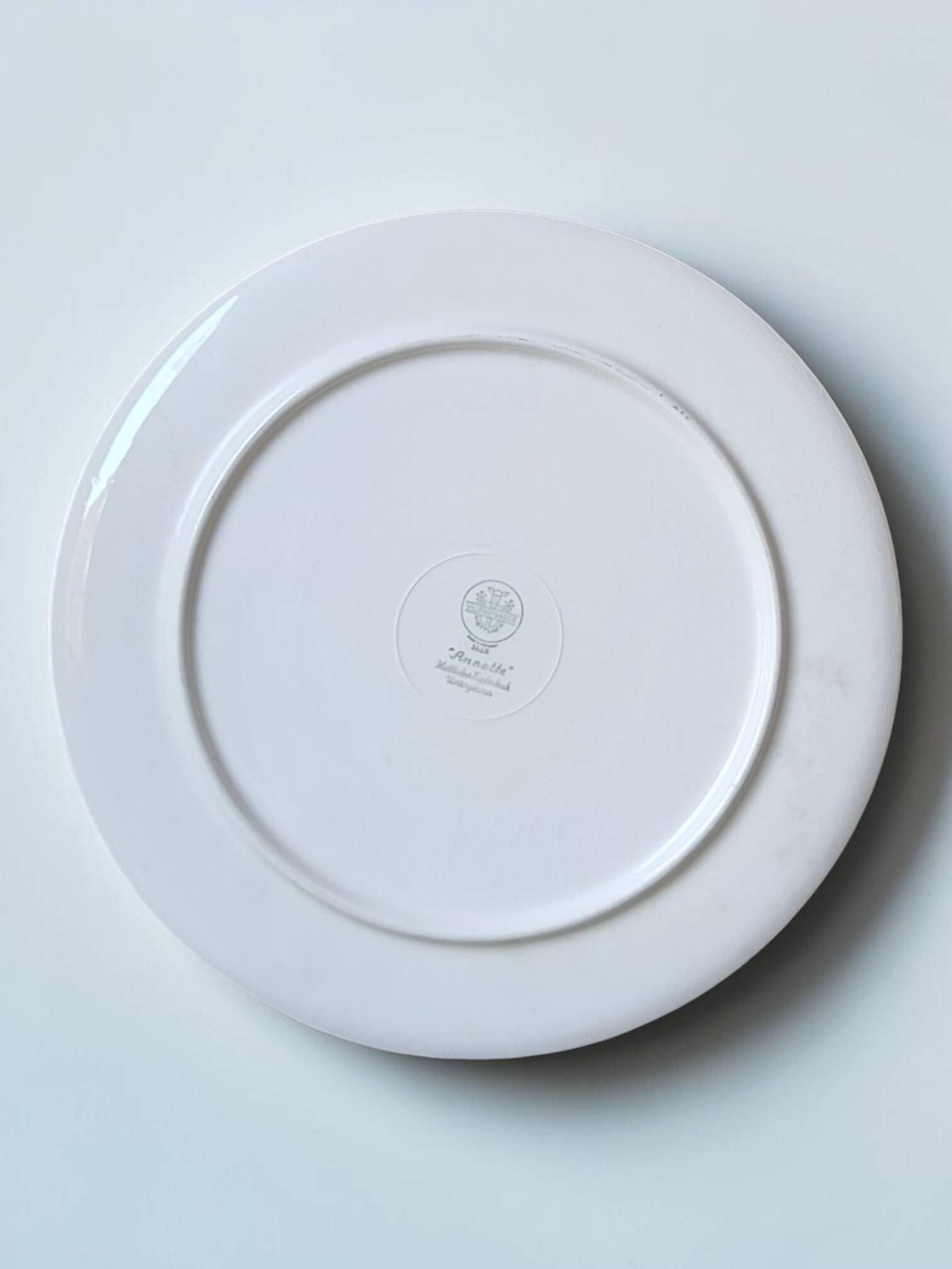 Villeroy & Boch pie dish