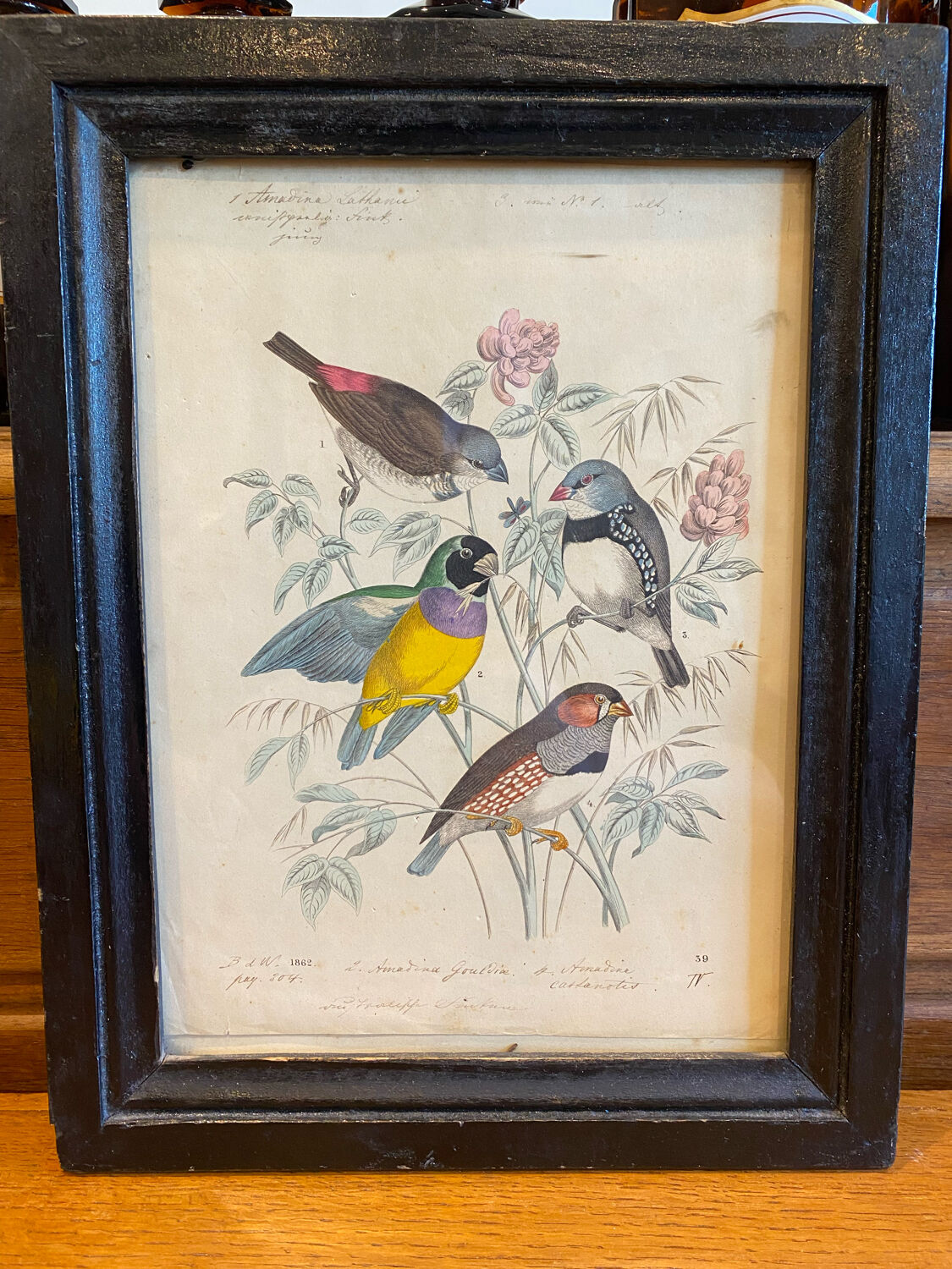 Set of decorative frames