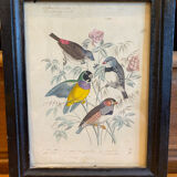 Set of decorative frames