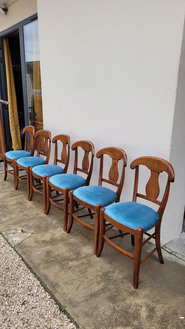 Série de 6 chaises style directoire en velours