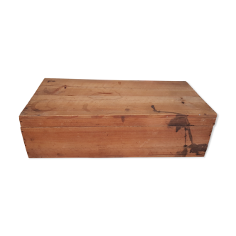 Trunk