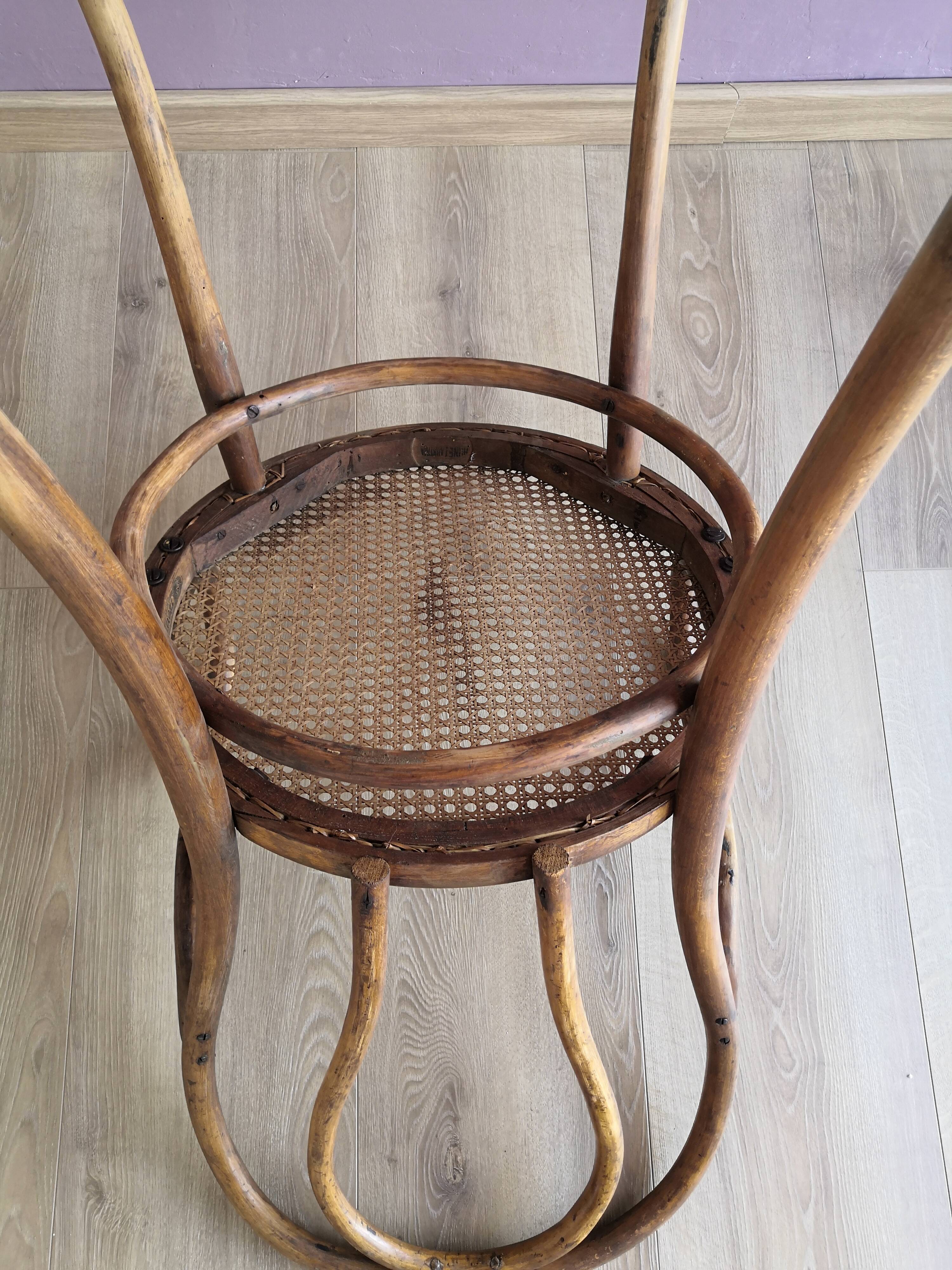 Thonet armchair in wood and cane, 1900