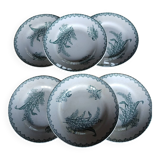 6 old Terre de fer flat plates