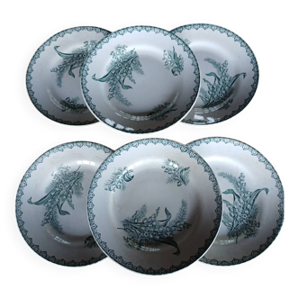 6 old Terre de fer flat plates