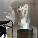 Old plaster bust of David