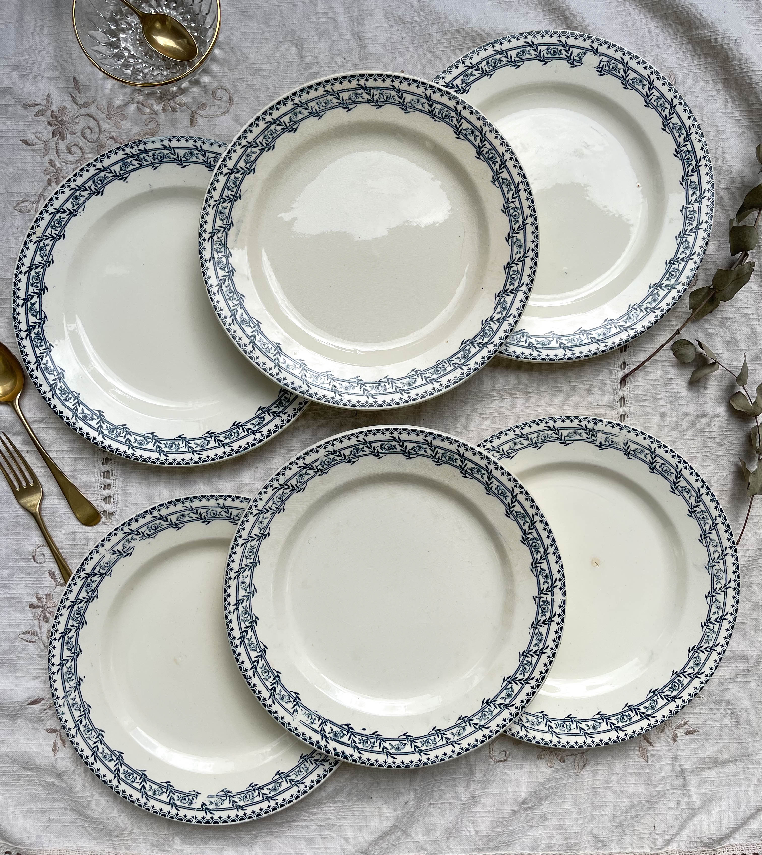 6 flat plates iron earth salins