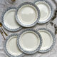6 flat plates iron earth salins