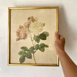 Framed pink botanical board