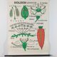 Vintage educational wall hanging roll chart biology plants