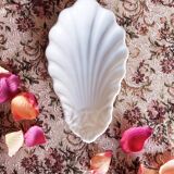 Shell shape dish