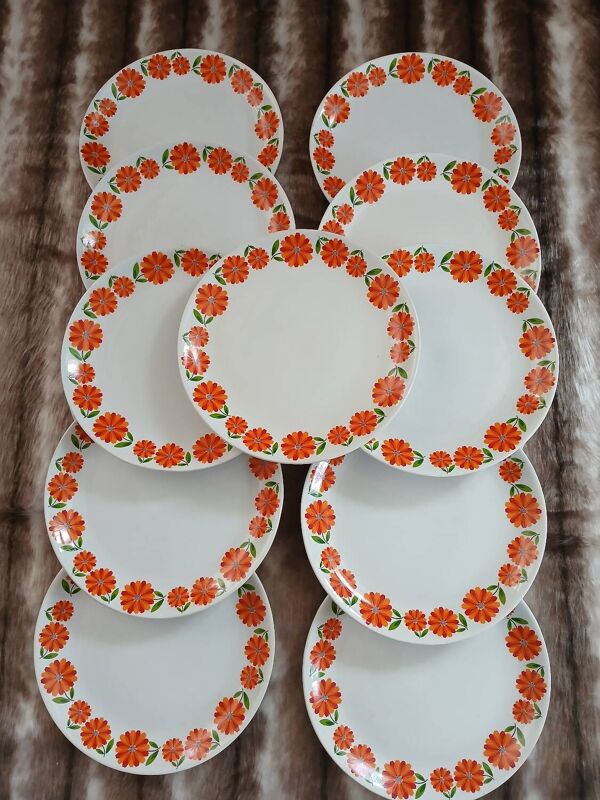 13 assiettes plates vintages Moulin des Loups