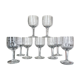 Engraved Blown Glasses - Water or Wine - Table Glass Service - 19th Century