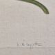 La Roche Laffitte (Born in 1943) - Watercolour drawing on silk - Ash