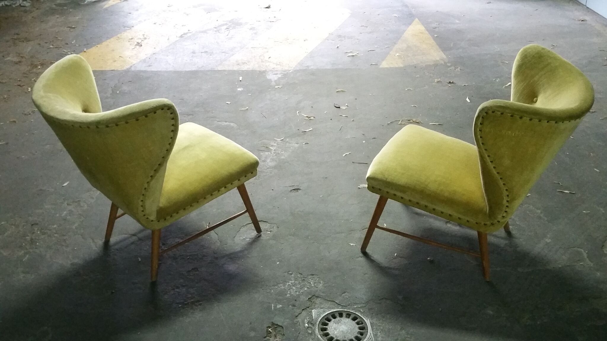 Yellow green trio of drivers at Danish flesh wing ears Elias Svedberg years 50/60