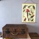 Old rattan trunk