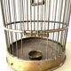 Cage oiseaux