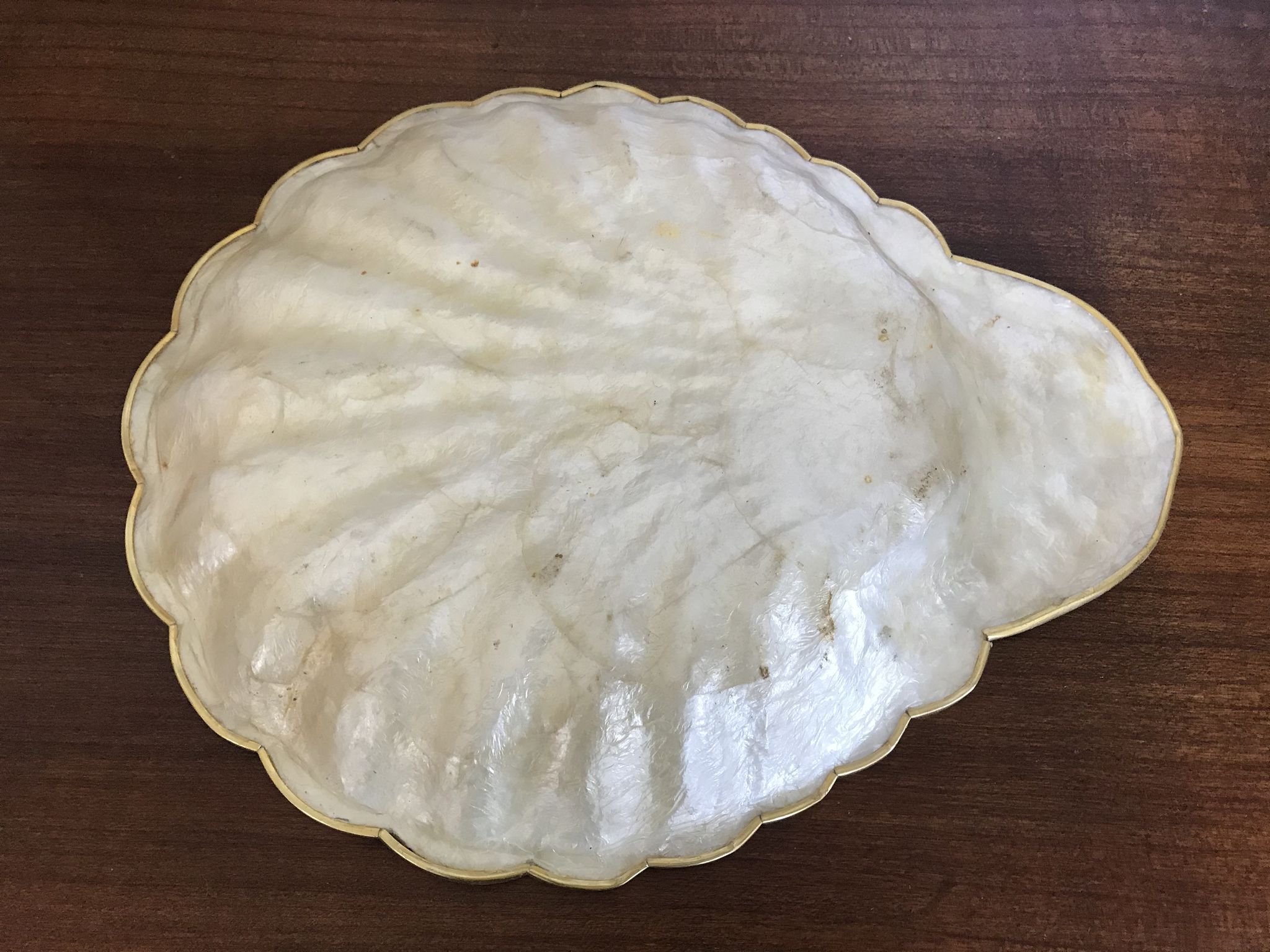 Vide poche coquille en nacre