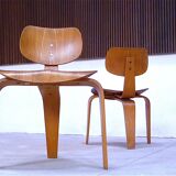 Model 'SE 42' Dining Chairs by Egon Eiermann for Wilde & Spieth, Germany 1949, Set of 4
