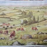 School poster Rossignol 23 The glacier 24 The worn mountain