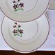 4 assiettes plates vintage de la manufacture de Salins 210636
