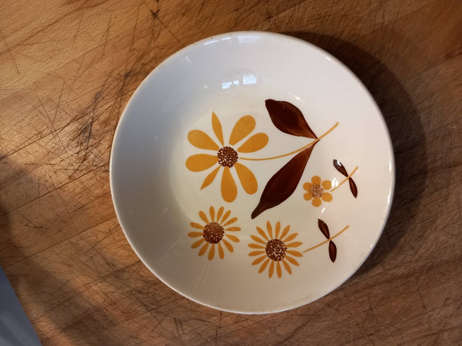 Gien ceramic soup plate