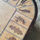Ceramic herbarium coffee table