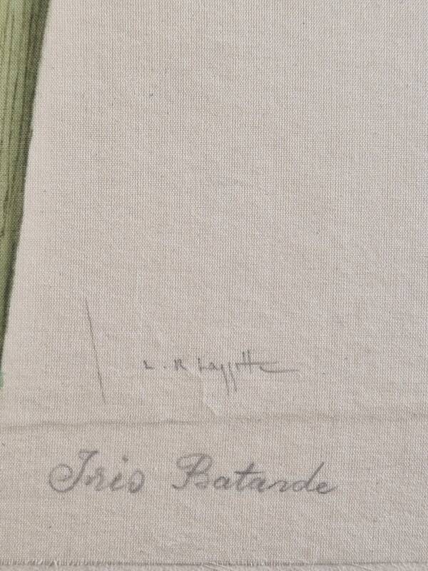 Dessin à l'aquarelle sur soie - Iris - La Roche Laffitte (Né en 1943)