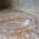 Imperial Candlewick Beaded Glass Dish