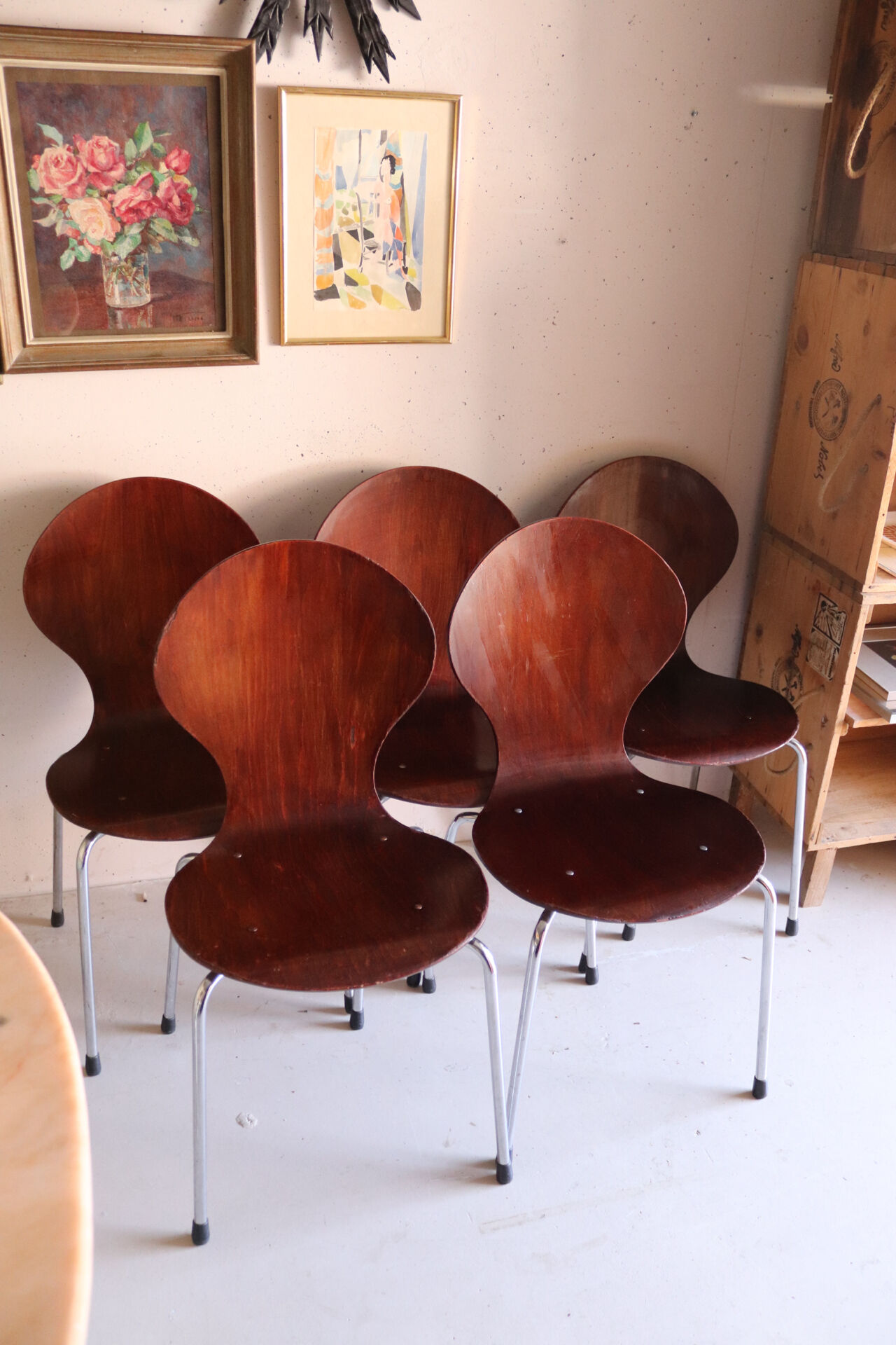 5 chaises style fourmi en contreplaqué moulé et métal chromé, esprit s