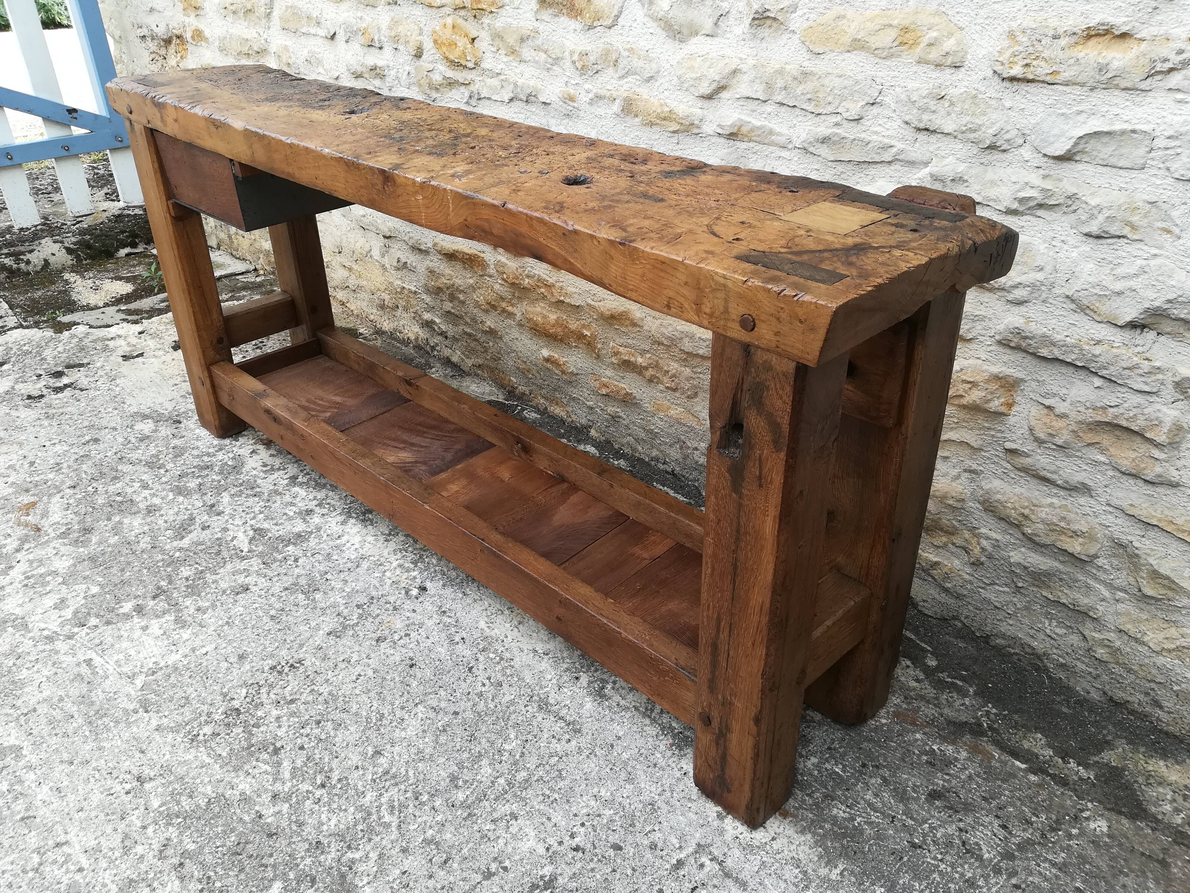 Established in elm and oak