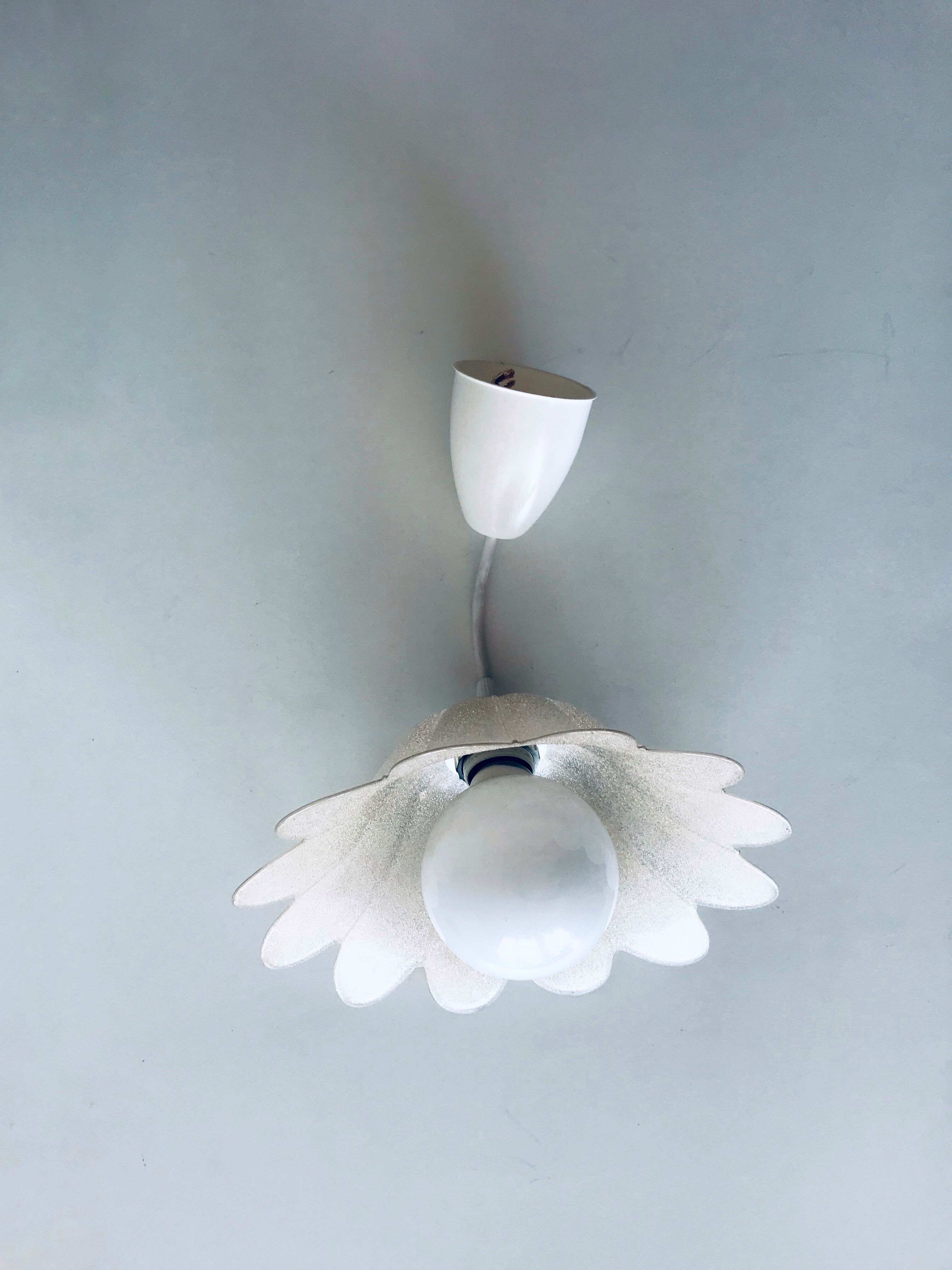 Glass flower suspension