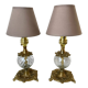 Pair of table lamps in bronze and glass early twentieth century