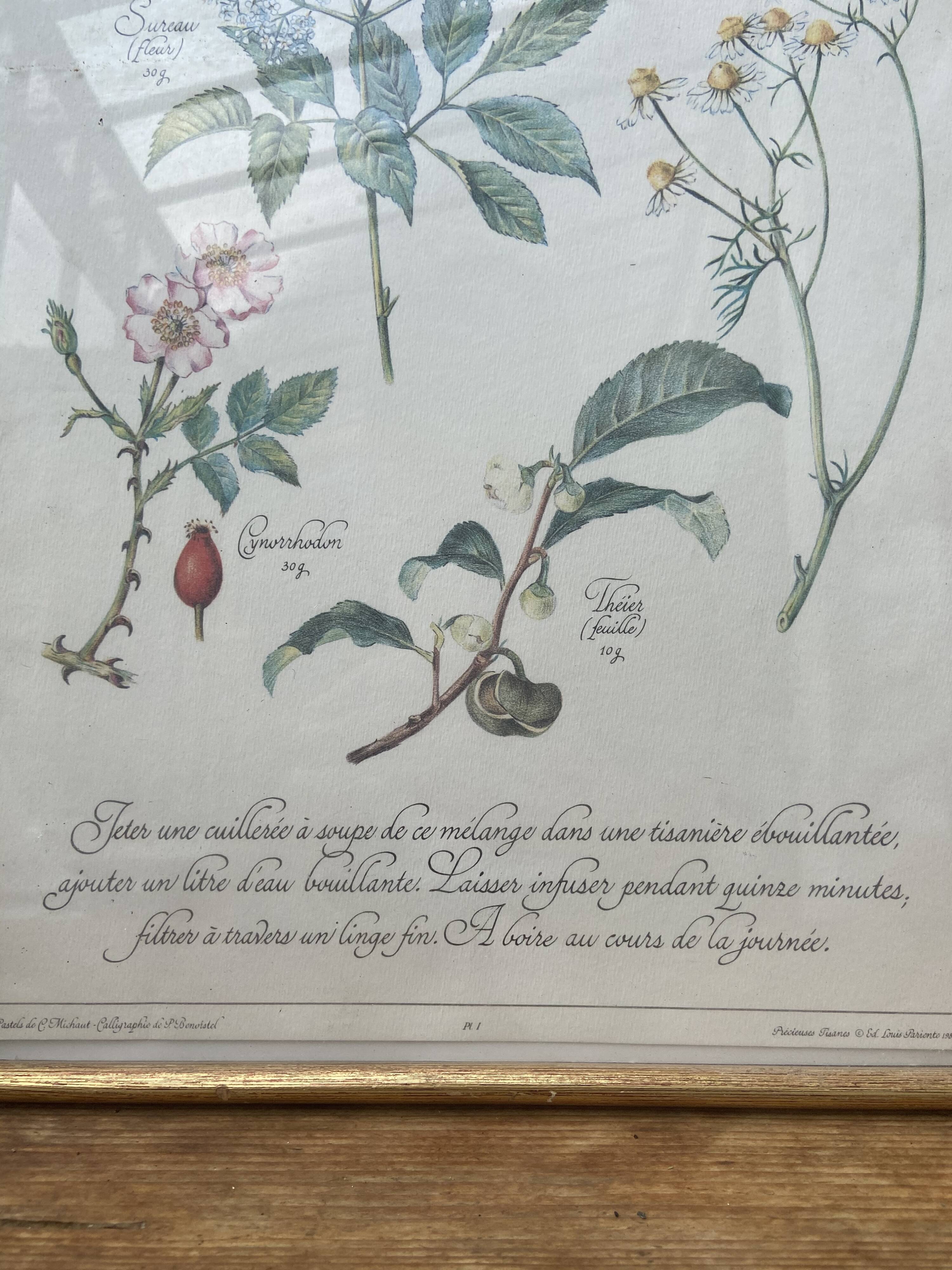 Tisane botanical plank against the flu