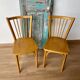 Chaises Baumann