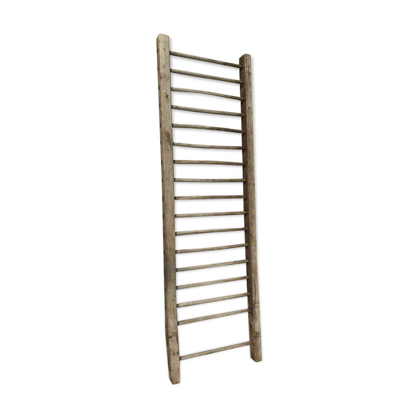 Ladder