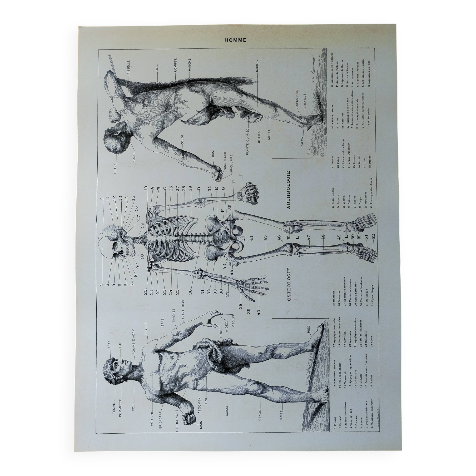 Original lithograph on Man