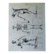 Original lithograph on Man